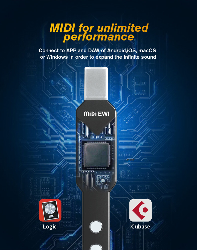 upgrade Mini Digital Electroni - Musical Instrument Fagot recension och pris