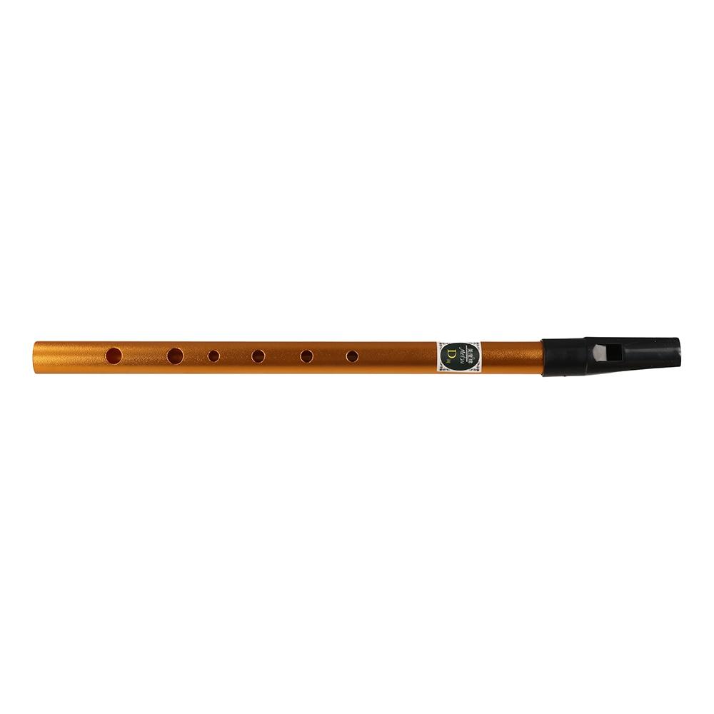 Musical Accessories 6 Hole Iri - Musical Instrument Irish recension och pris