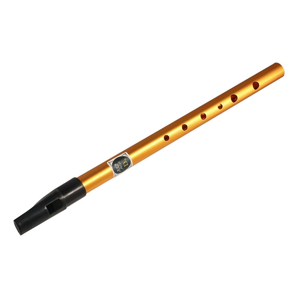 Musical Accessories 6 Hole Iri - Musical Instrument Irish recension och pris