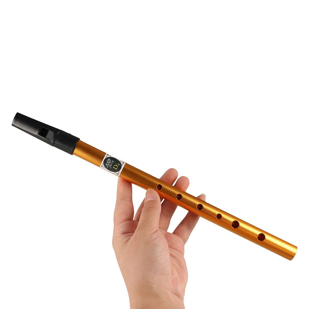 Musical Accessories 6 Hole Iri - Musical Instrument Irish recension och pris