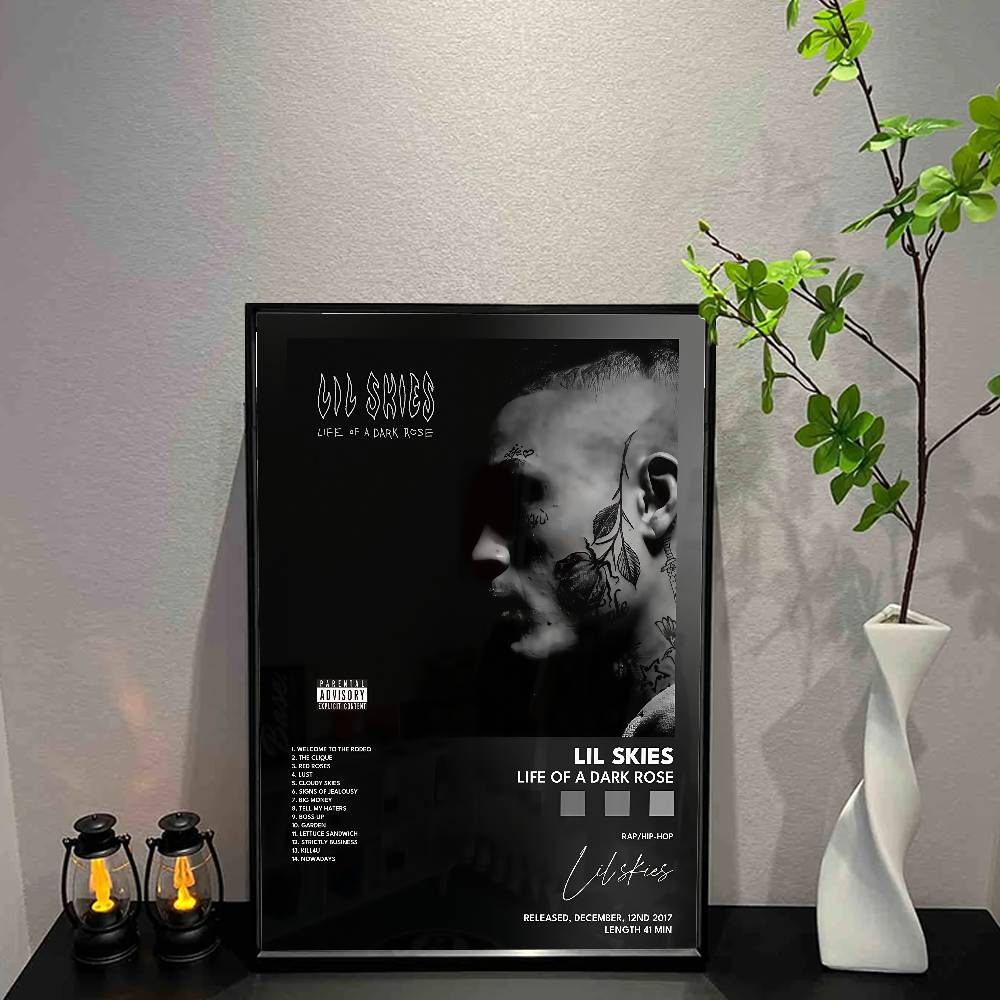 L-Lil S-Skies Poster Music Alb - L Musical Instrument recension och pris