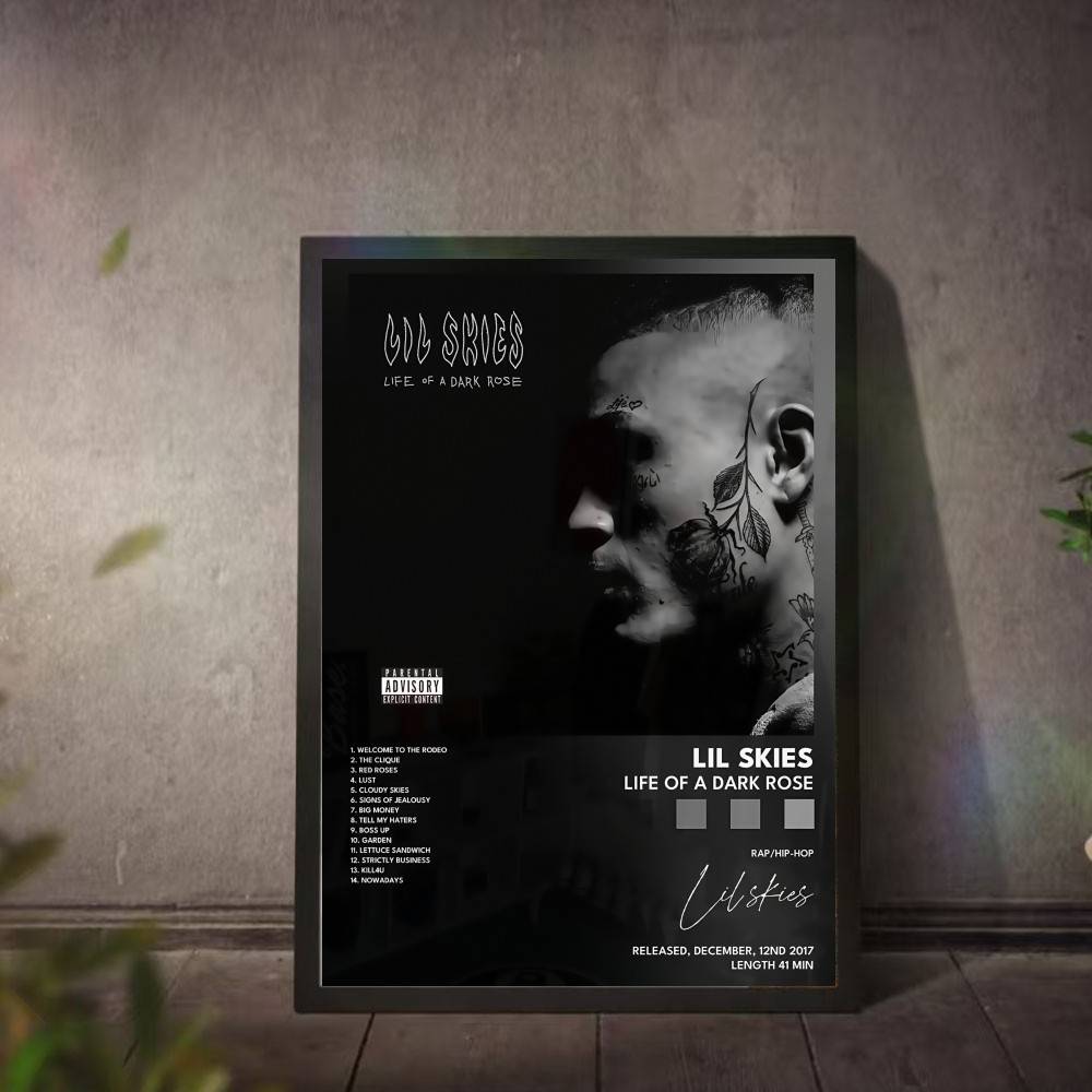 L-Lil S-Skies Poster Music Alb - L Musical Instrument recension och pris