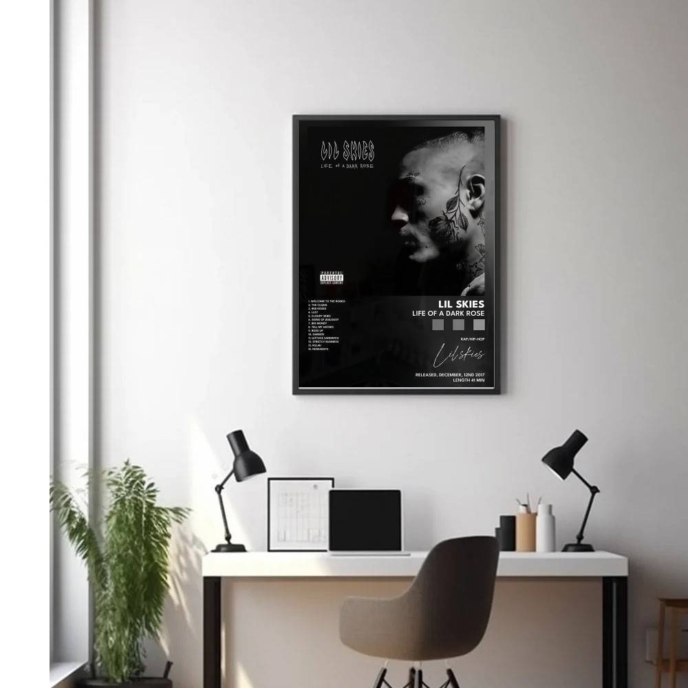 L-Lil S-Skies Poster Music Alb - L Musical Instrument recension och pris