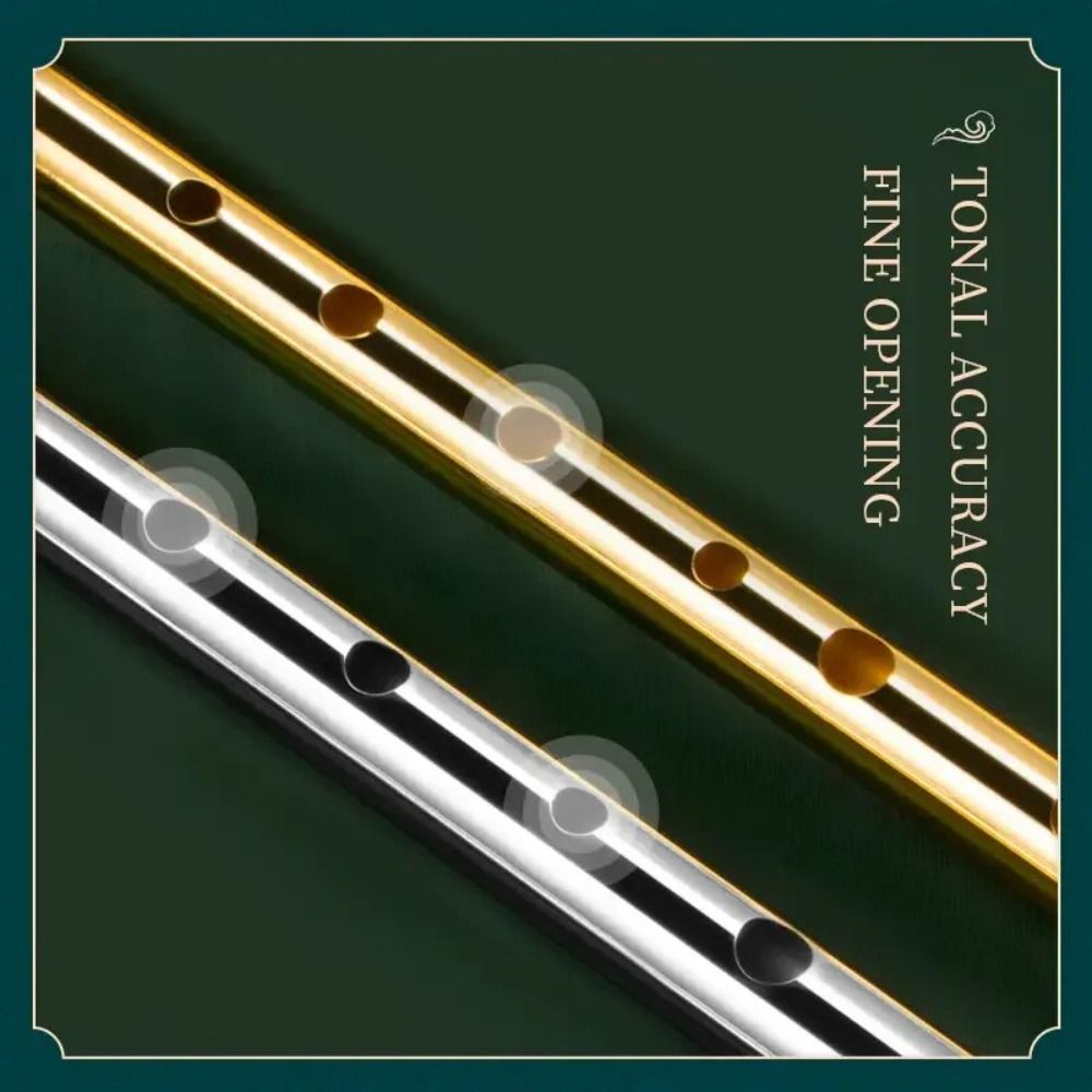 6 Holes C/D Key Irish Whistle  - Musical Instrument Irish recension och pris