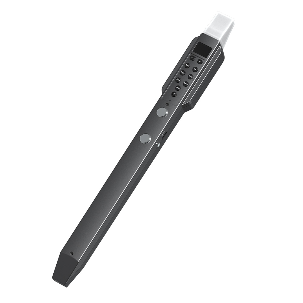 Small Transverse Flute Electro - Musical Instrument Irish recension och pris