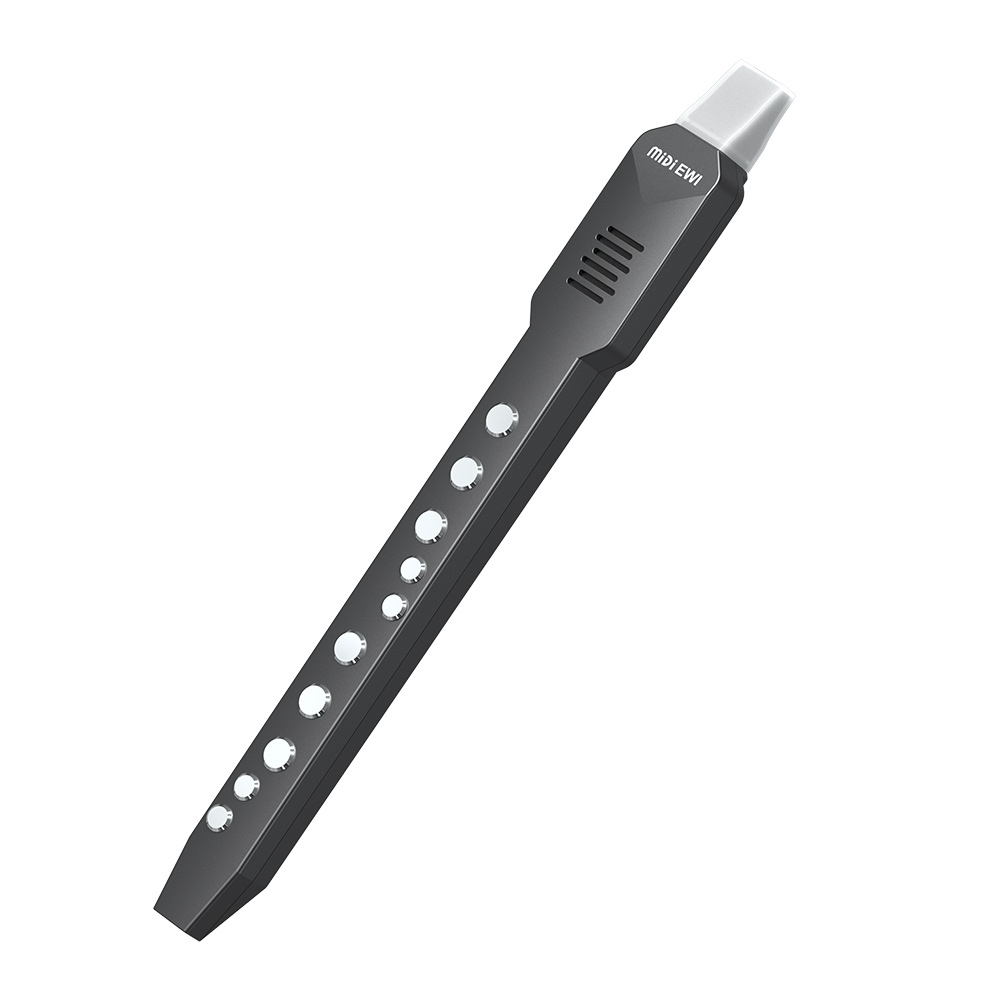 Small Transverse Flute Electro - Musical Instrument Irish recension och pris