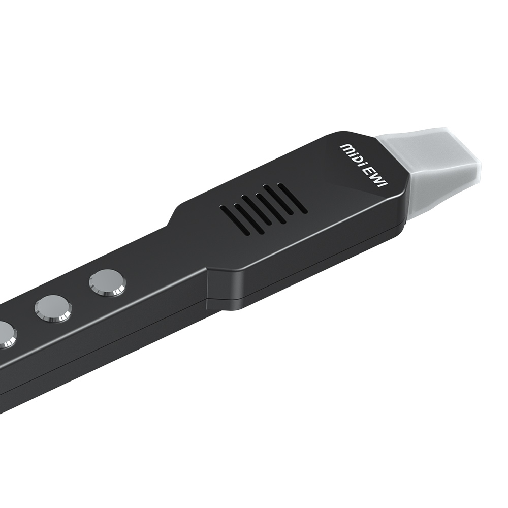 Small Transverse Flute Electro - Musical Instrument Irish recension och pris